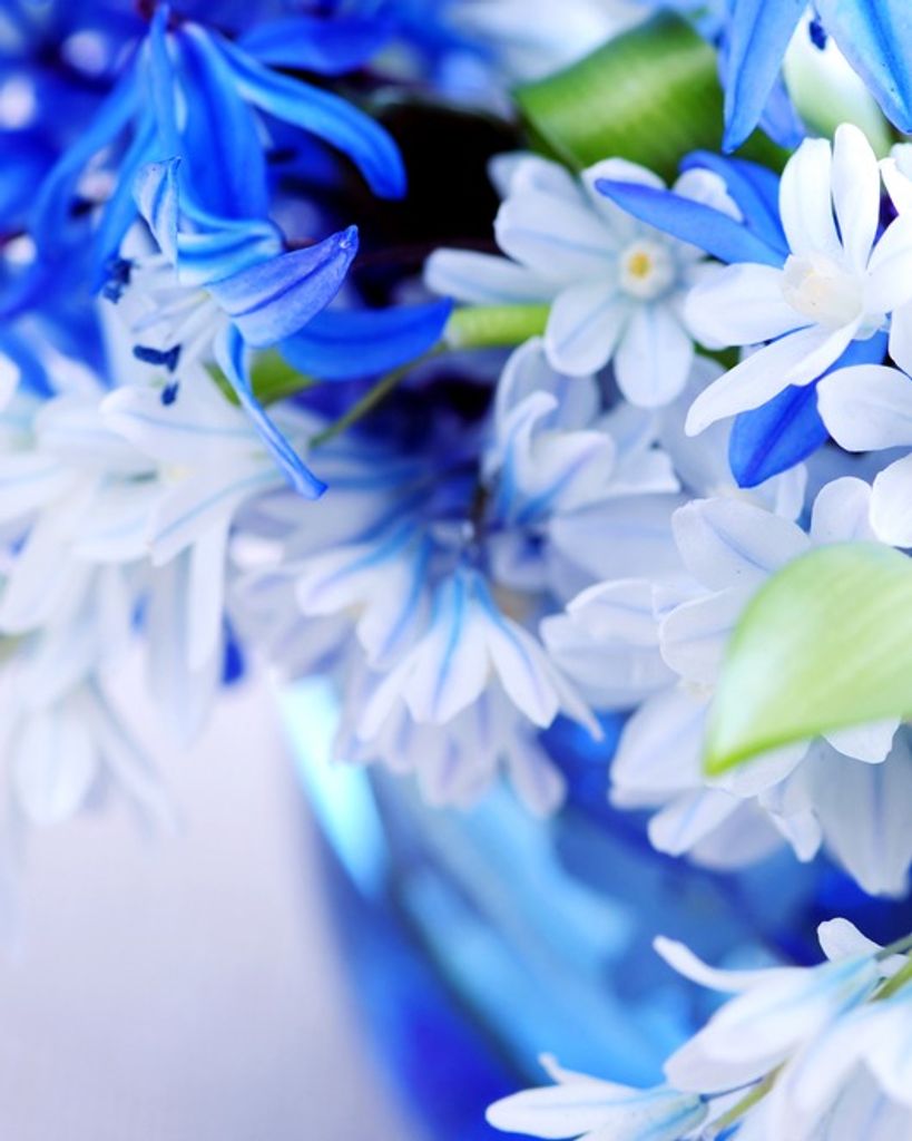 Patsy Zufelt Parry Profile Photo