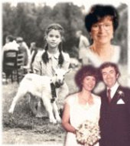 Rose Marie Searcey Profile Photo