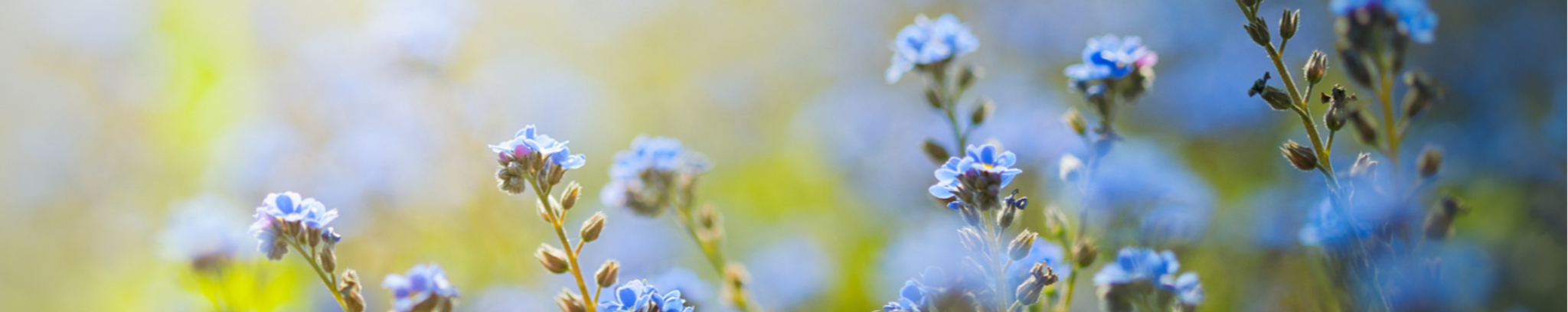 Cover photo for Delores Hartsfield's Obituary