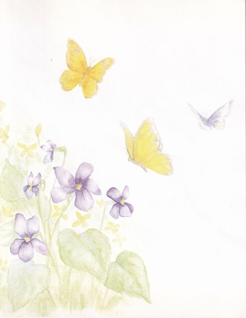 Jean (Papillon)  Harley