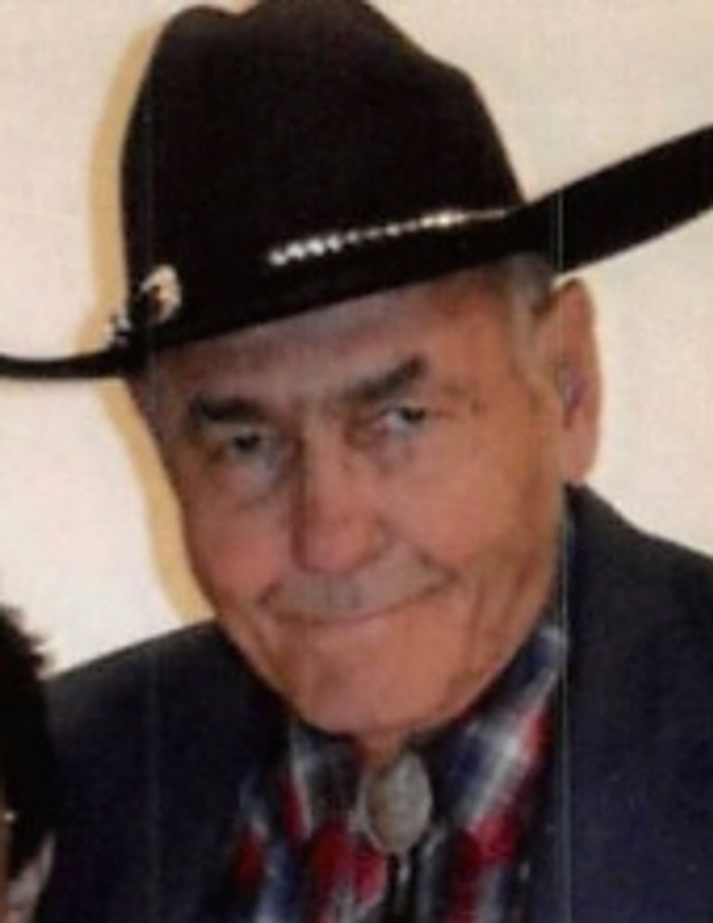 Virgil L. Hanson Profile Photo