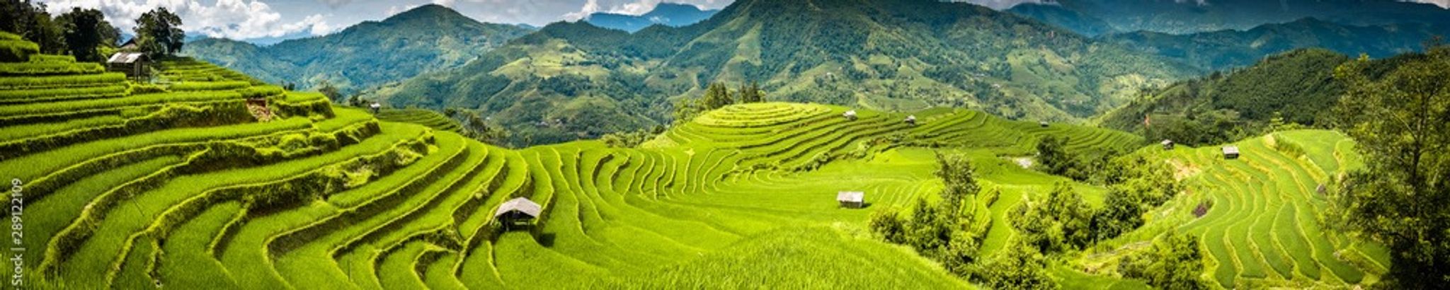 Cover for Son Hung Dang's Obituary