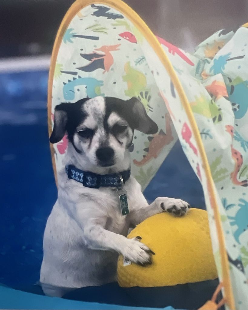 Spockey Profile Photo