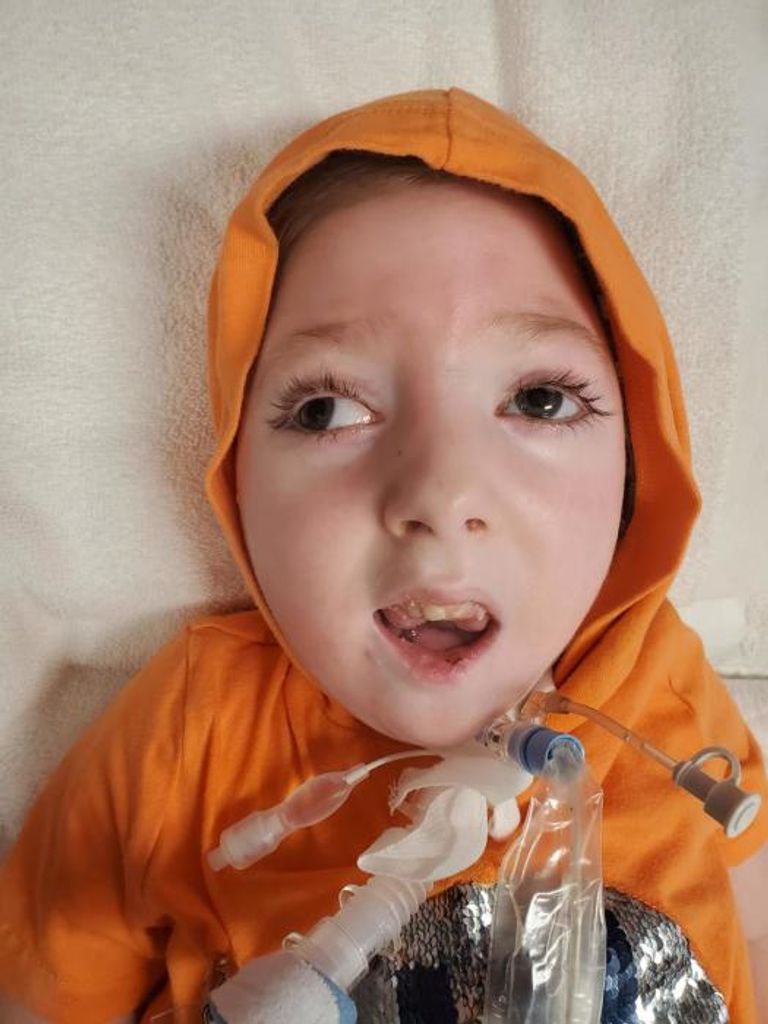 Elvis Wainscott=Meulen