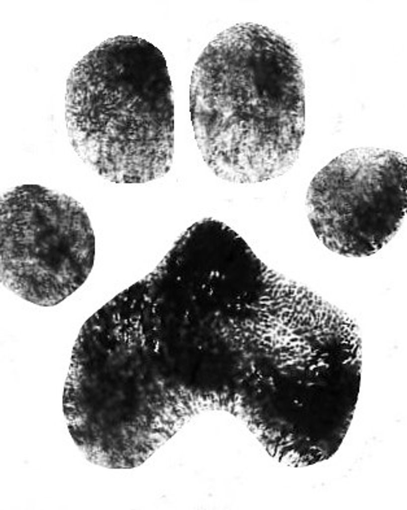 Bella Louise Dalton Profile Photo