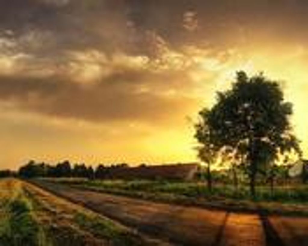 Frederick "Fritz" Frei