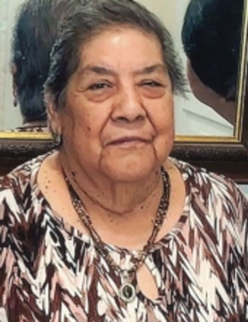 Maria Teresa Santos Profile Photo