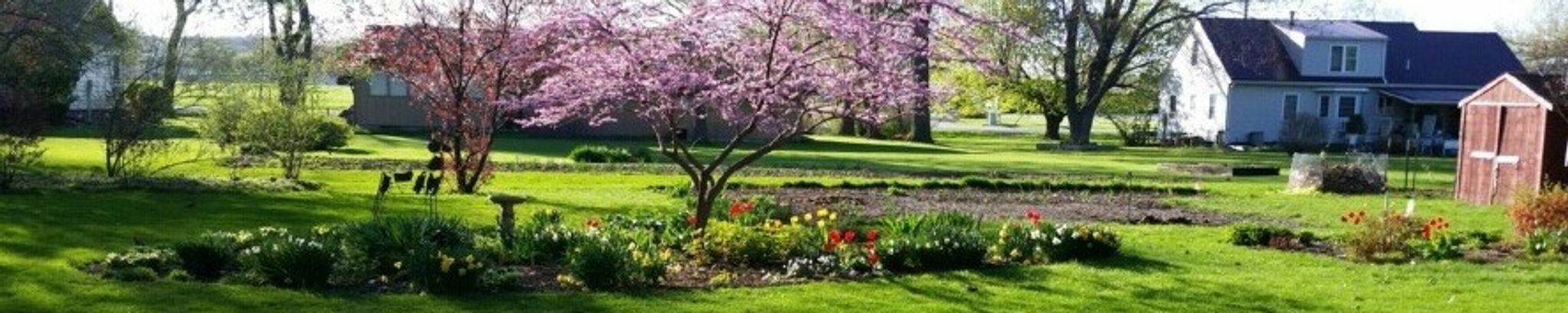 Cover for Darlene G. Reihmann's Obituary