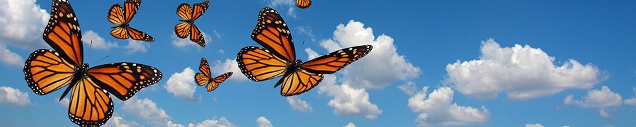 Cover for Sarah Good's Obituary