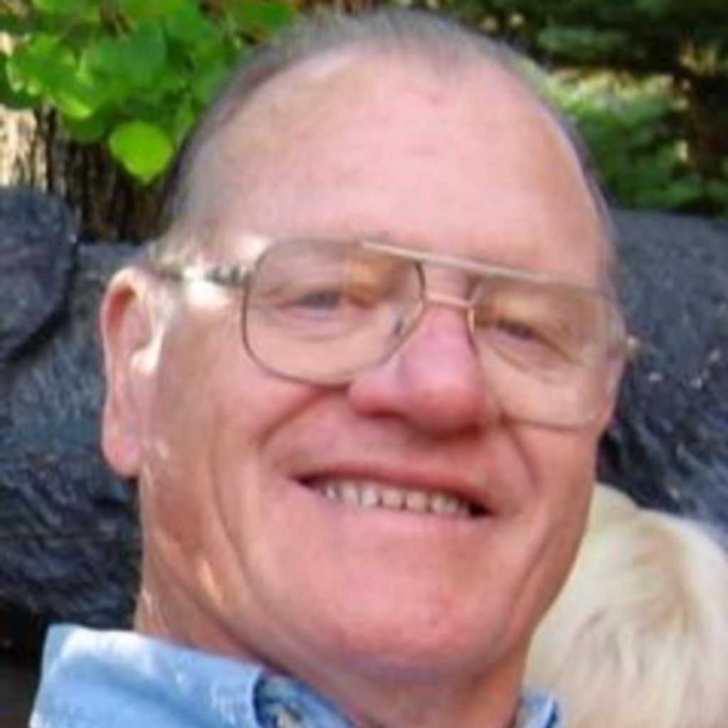 David Cummings Adamson Profile Photo