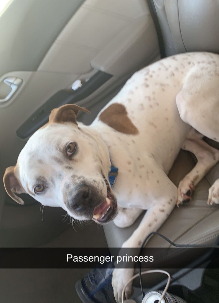 Trooper Profile Photo