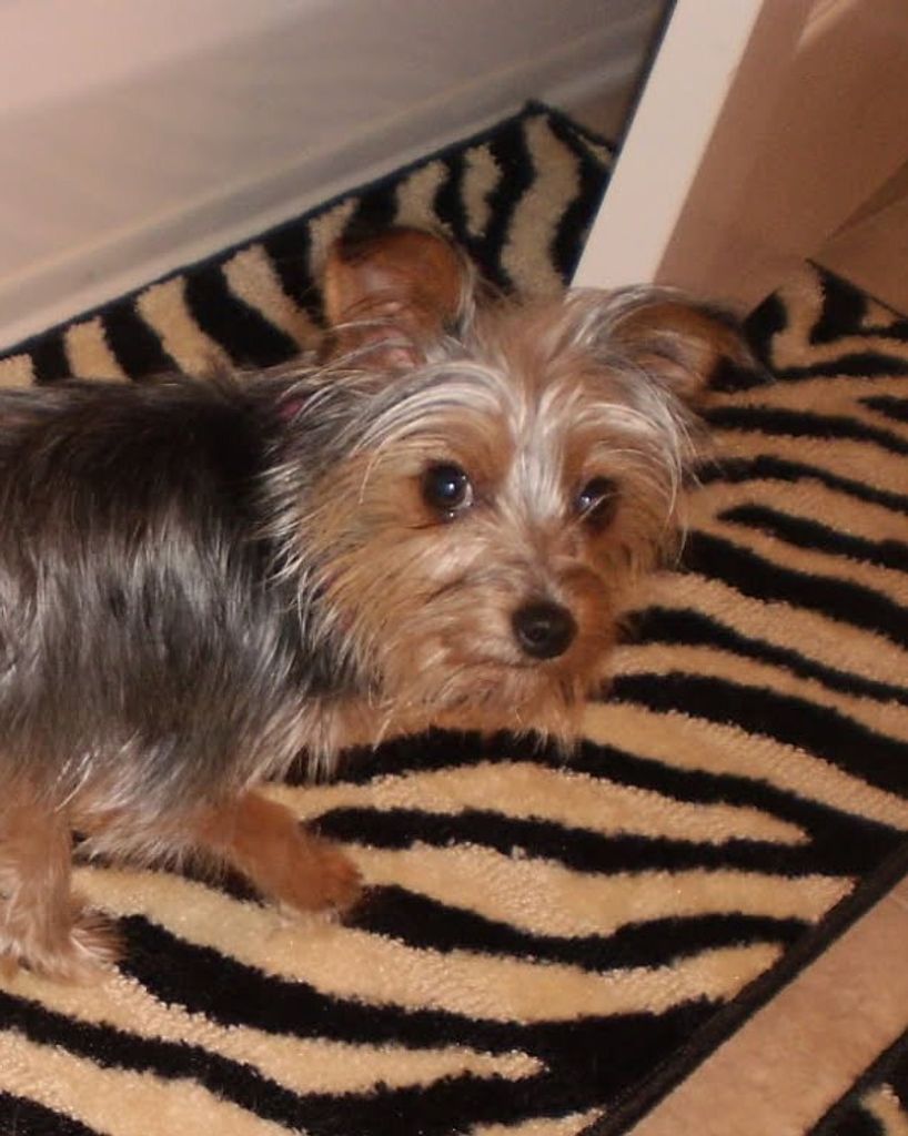 Bailey "Sissy" Alexander Profile Photo
