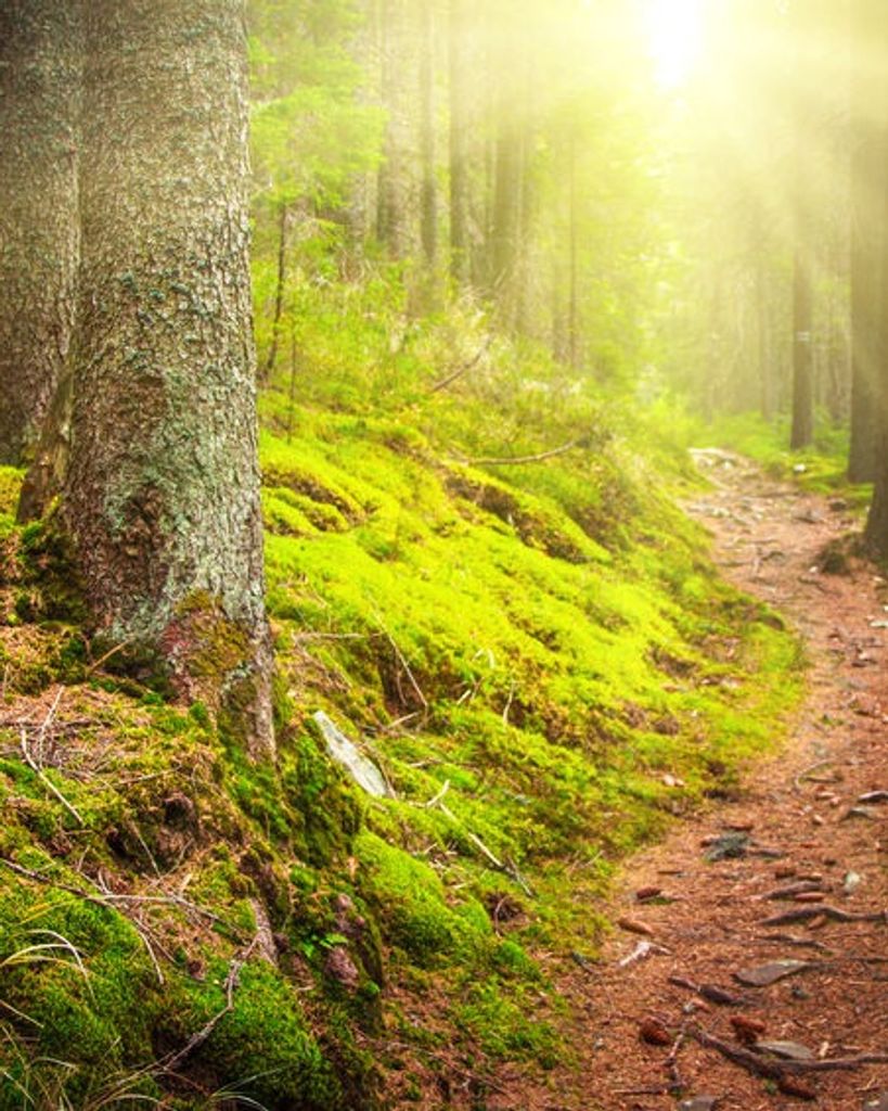 Thomas William Flaherty Profile Photo