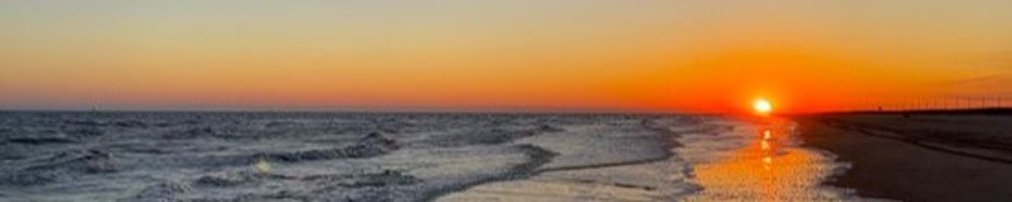 Cover photo for Tammy Wynette Erbelding's Obituary