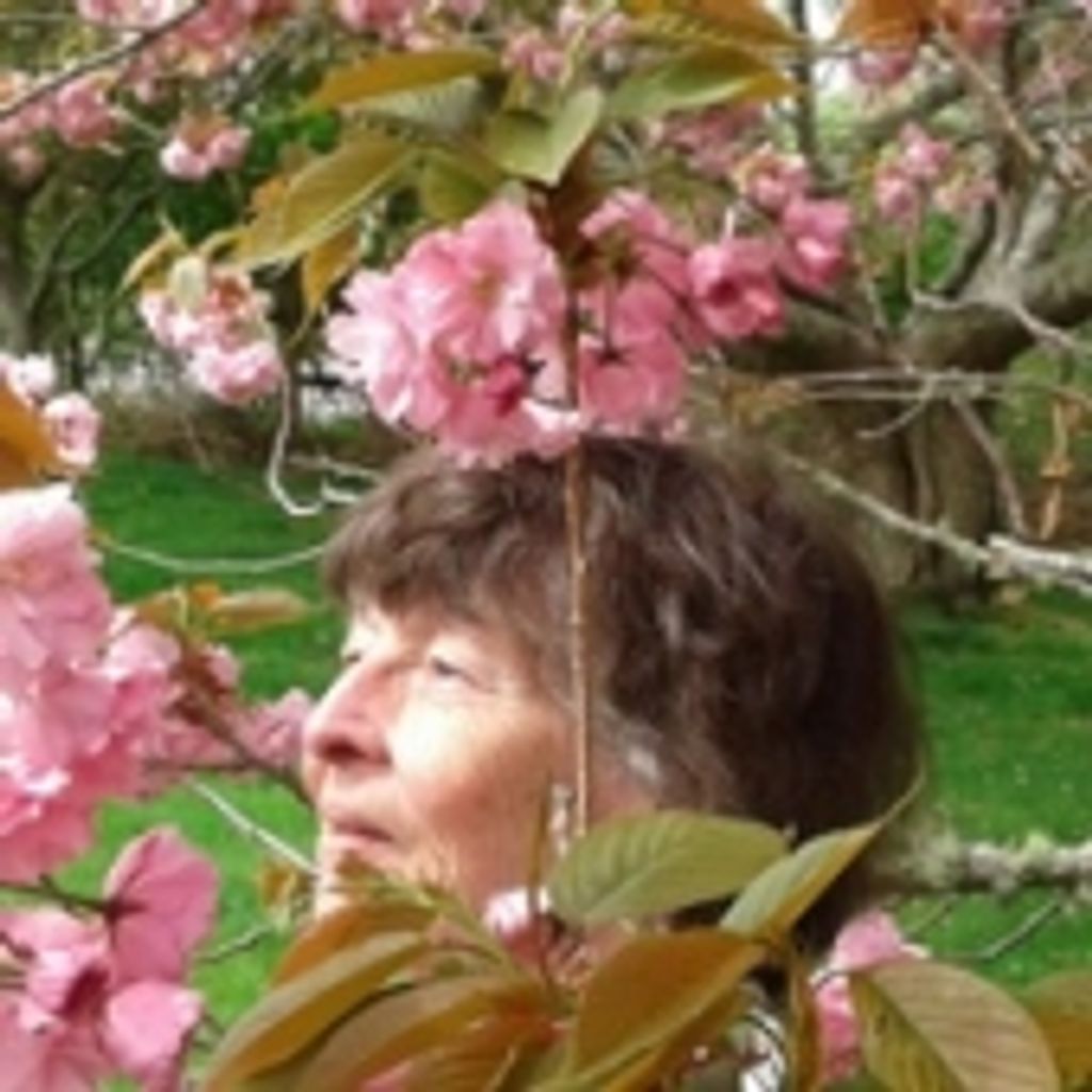 Carol B. Buratti Stackow