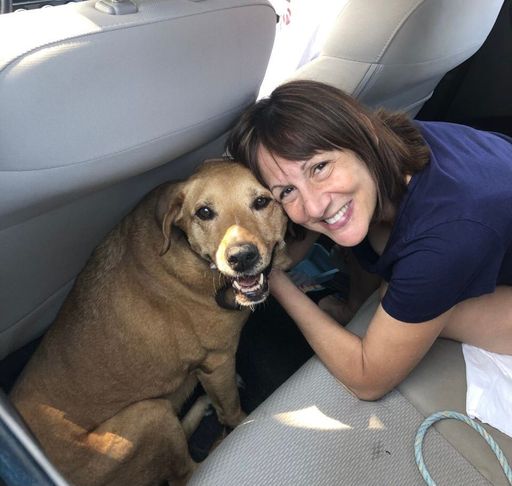 Tracey Rizzo Pappalardo Profile Photo