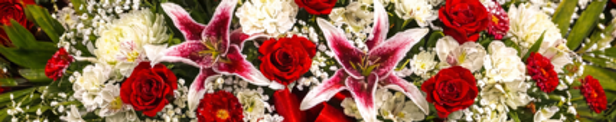 Cover for Gloria Lee (Watts) (Denbow) Mock's Obituary