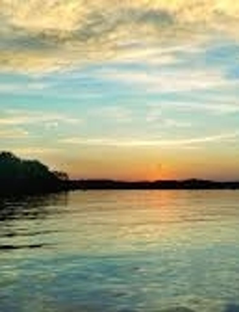 Stephen White Profile Photo