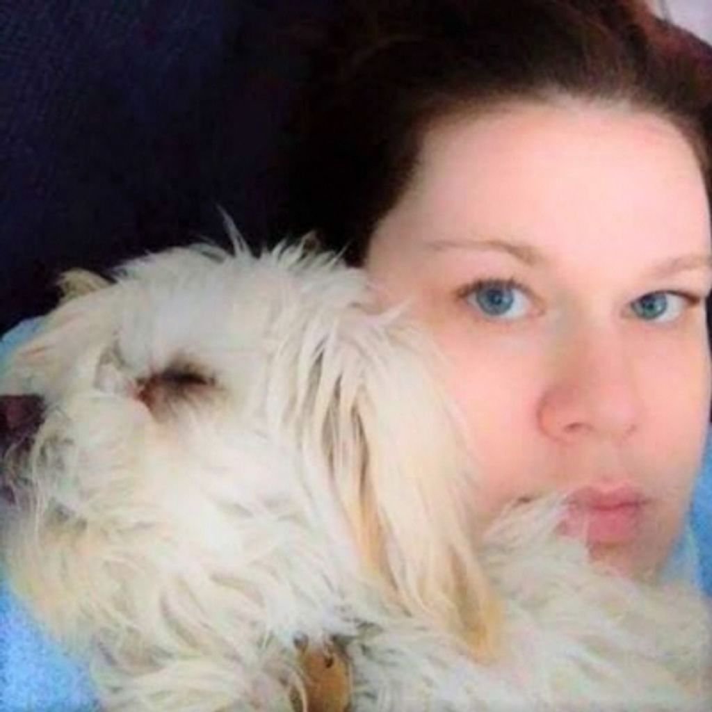 Samantha E Zive