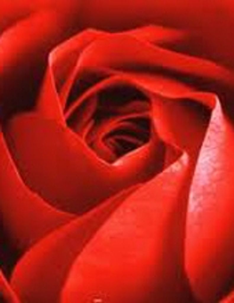 Kathy S. (Spangler) Polston