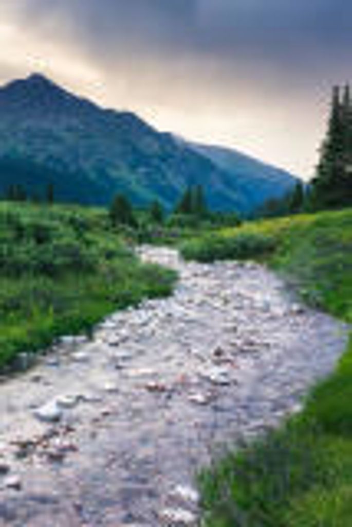 William Miller Profile Photo