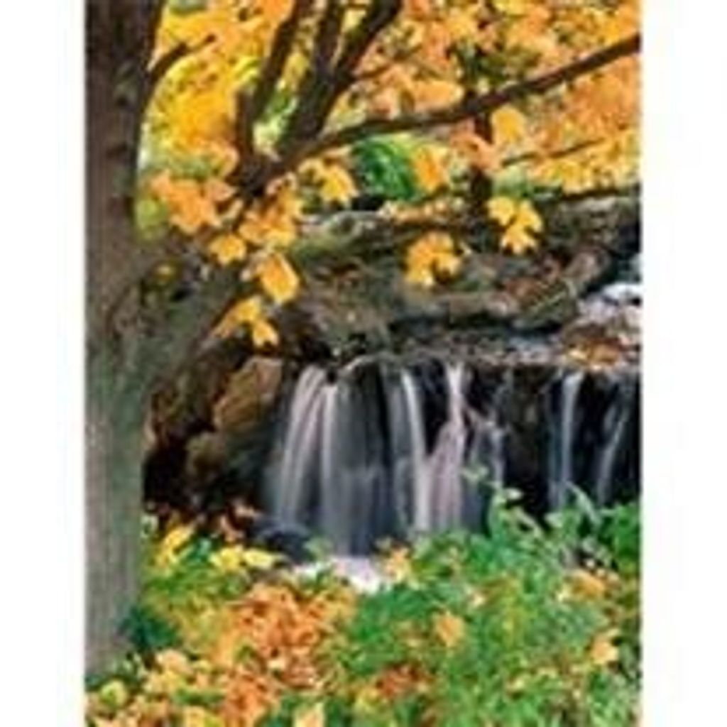 Ronald Thomas Zimmerman