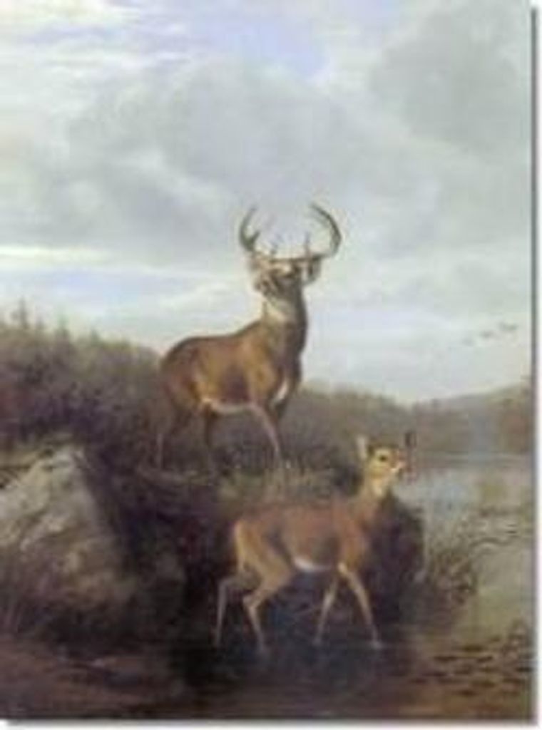 Edward C. Marshall, Sr. Profile Photo