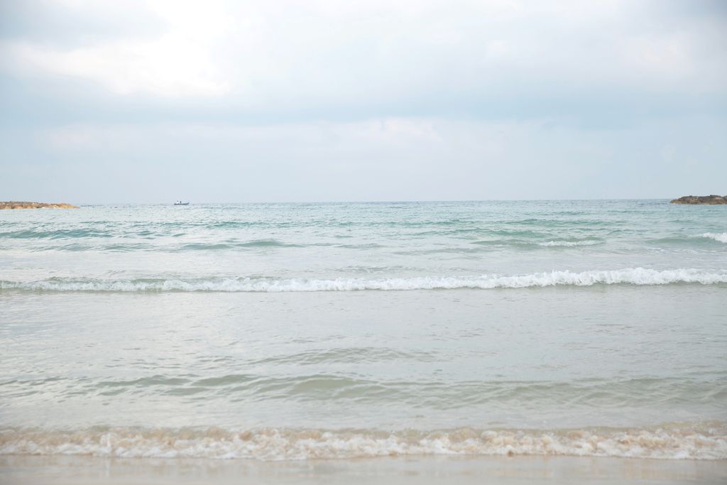 Annette Woodward Lloyd Profile Photo