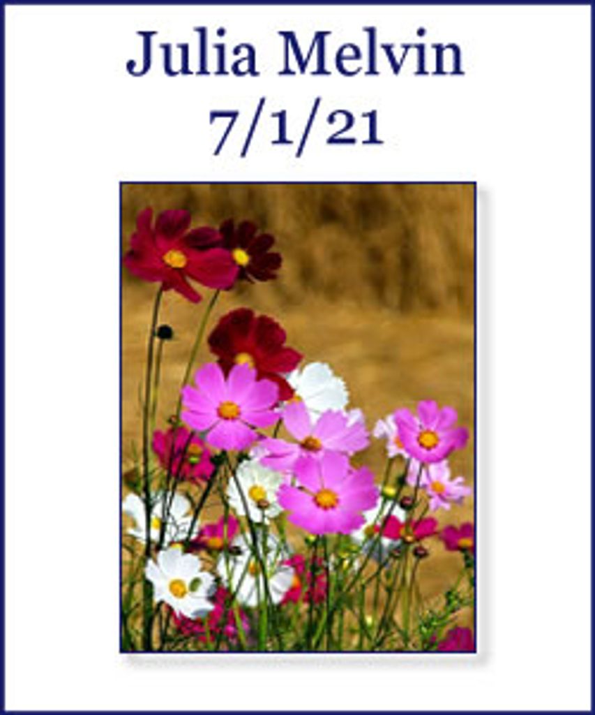 Julia Melvin