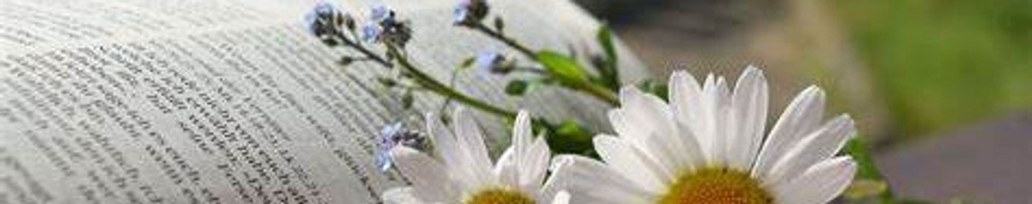 Cover photo for Nina Faye Hazelett's Obituary
