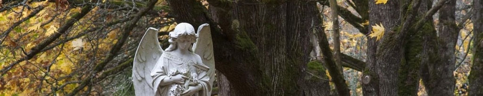 Cover for Susan D. McKinley's Obituary