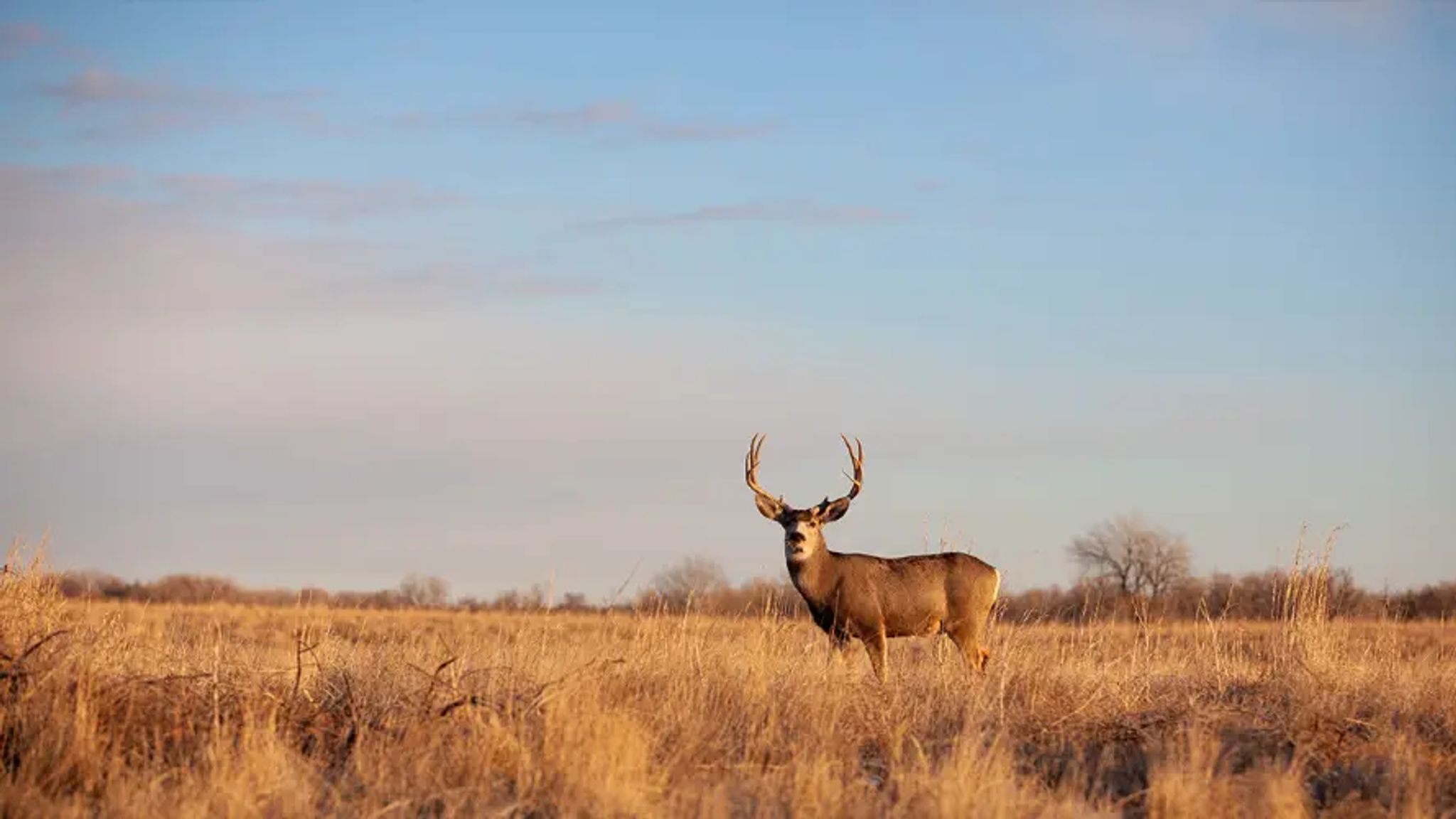 Cover for Bryan Keith Wheeler's Obituary