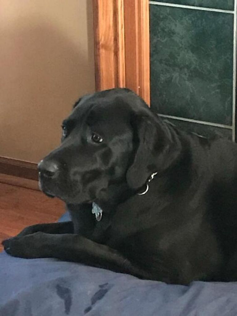 Ragnar "Ragie-Roo" Davey Profile Photo
