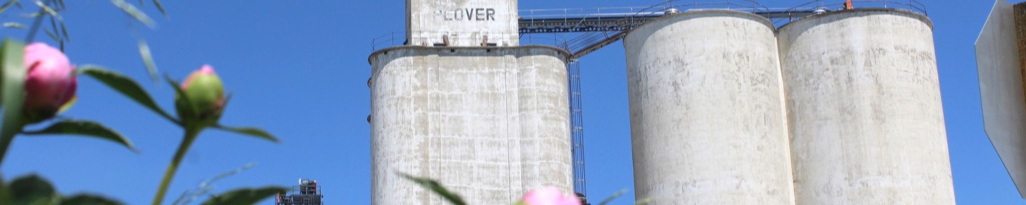 Cover for Fred McKim's Obituary