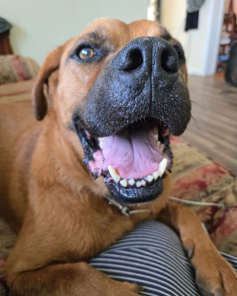 Big Boy Dawson