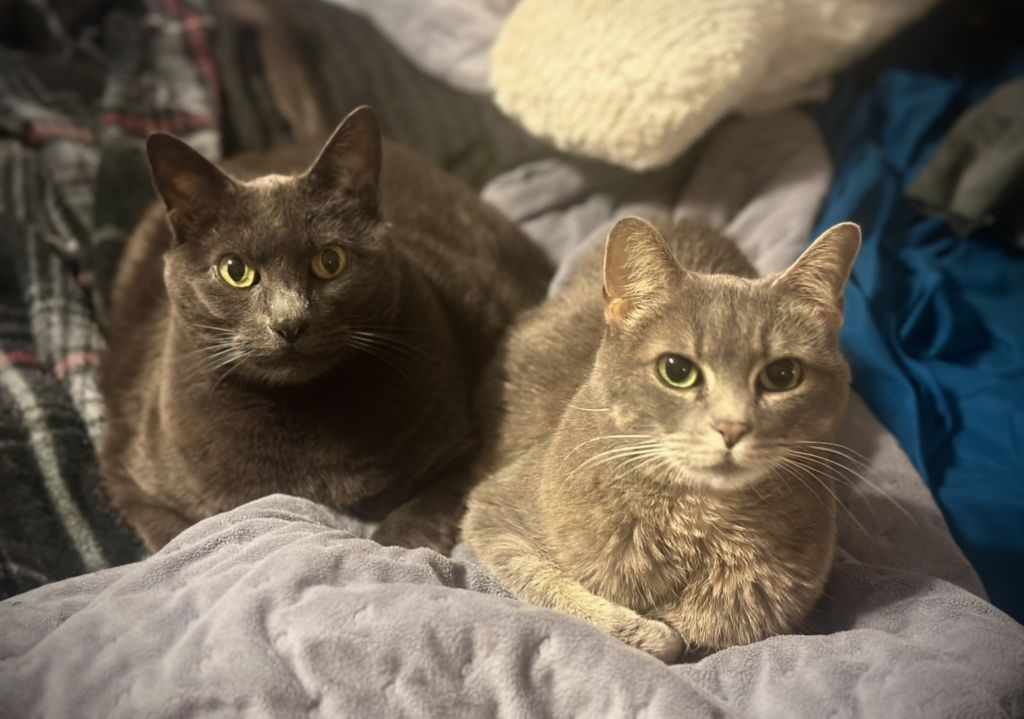 Jax And Daphie Profile Photo