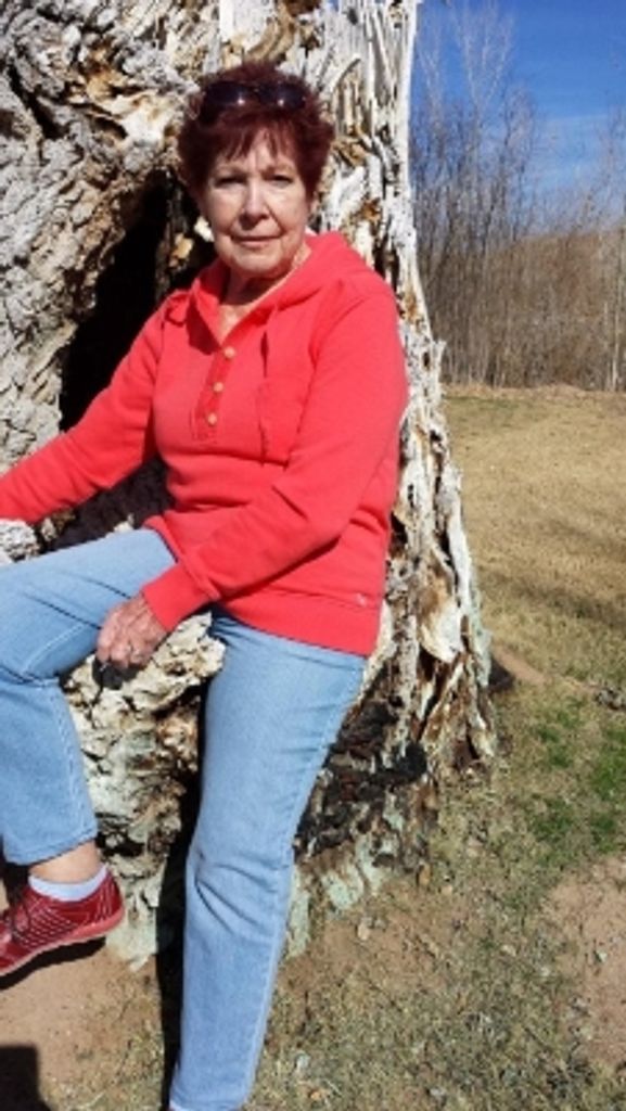 Barbara Robinson Profile Photo