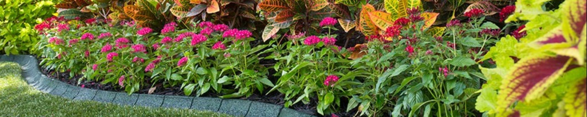 Cover photo for Charlotte Ann Kozak's Obituary
