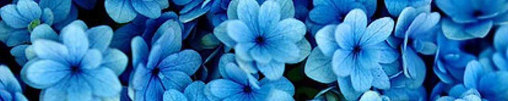 Cover photo for Gladys Dawson Green's Obituary