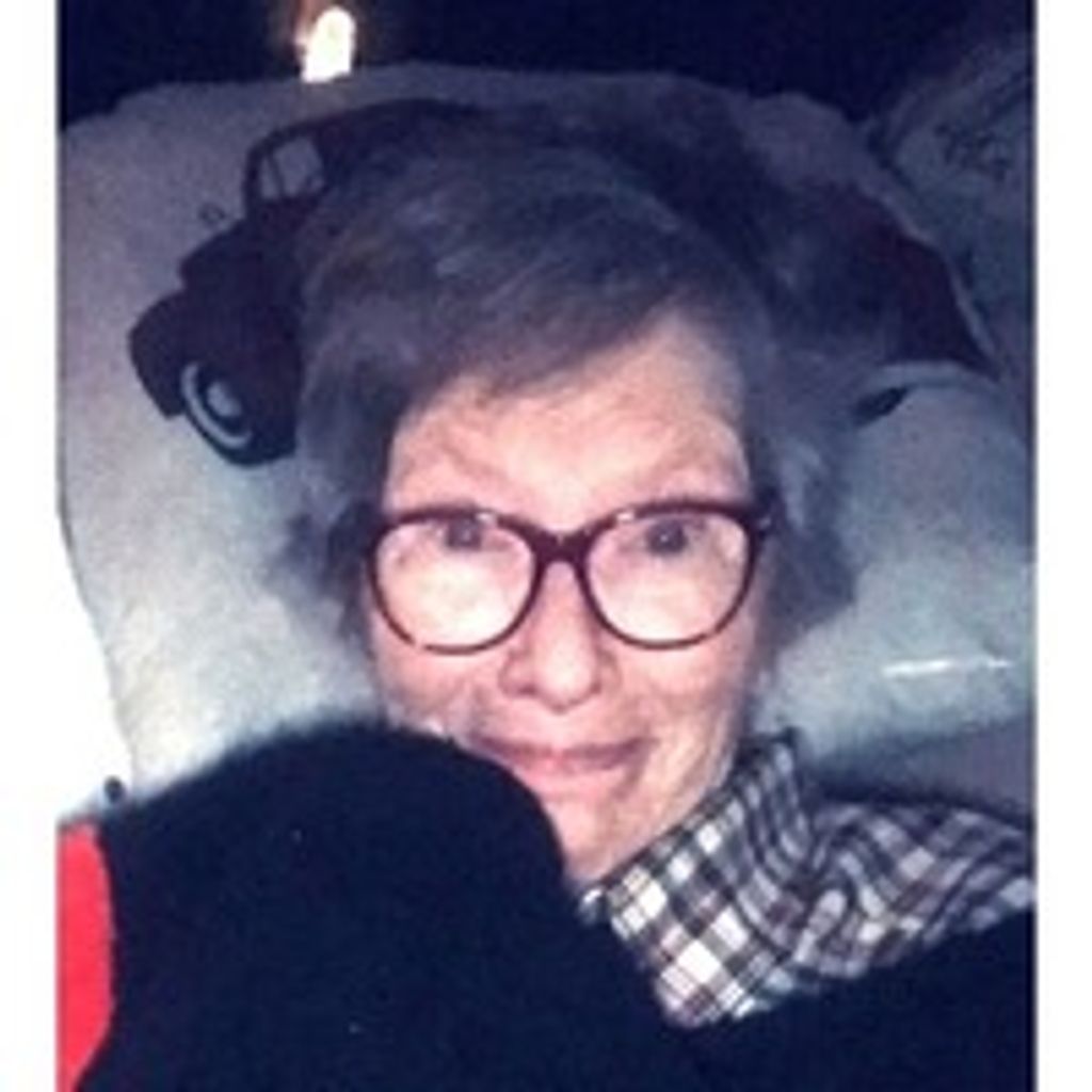 Nancy Ann Lupo Profile Photo