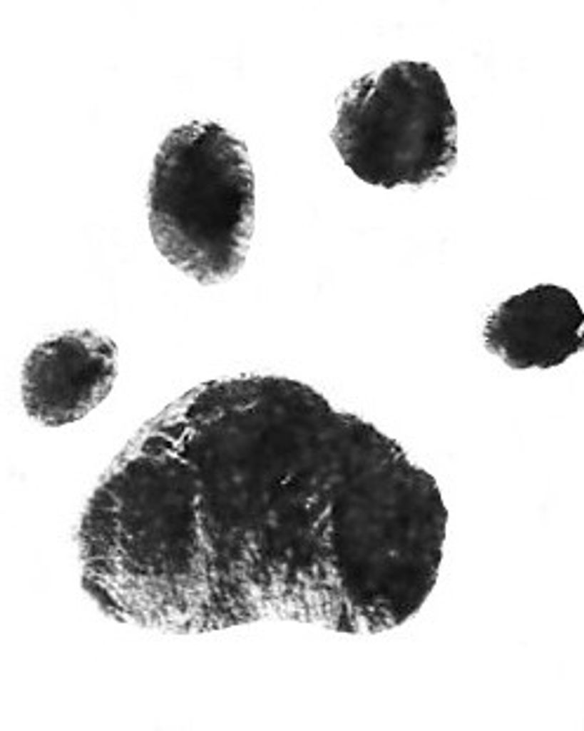 Puss Puss Biddix Profile Photo