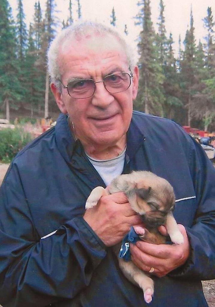 Paul J. Marino Profile Photo