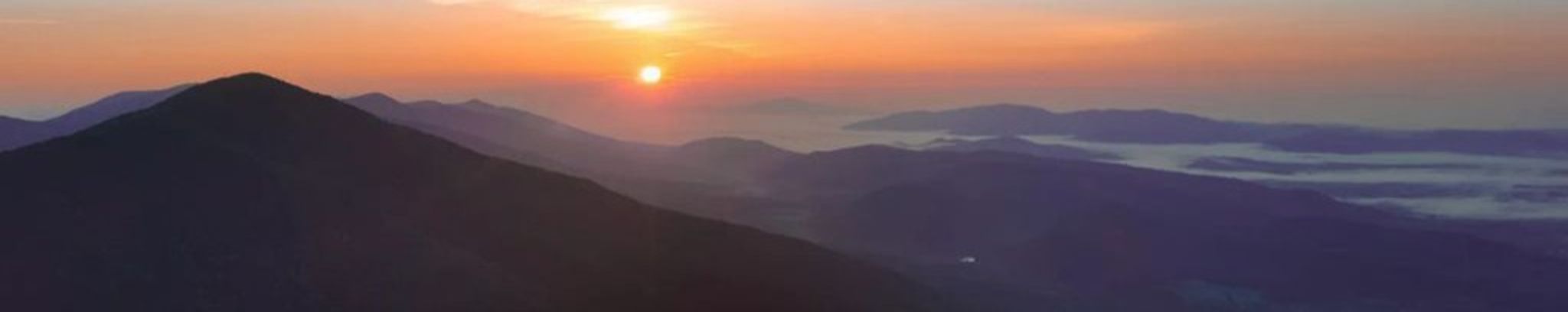 Cover photo for Hallie Connor's Obituary