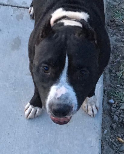 Smokey ?'s obituary image