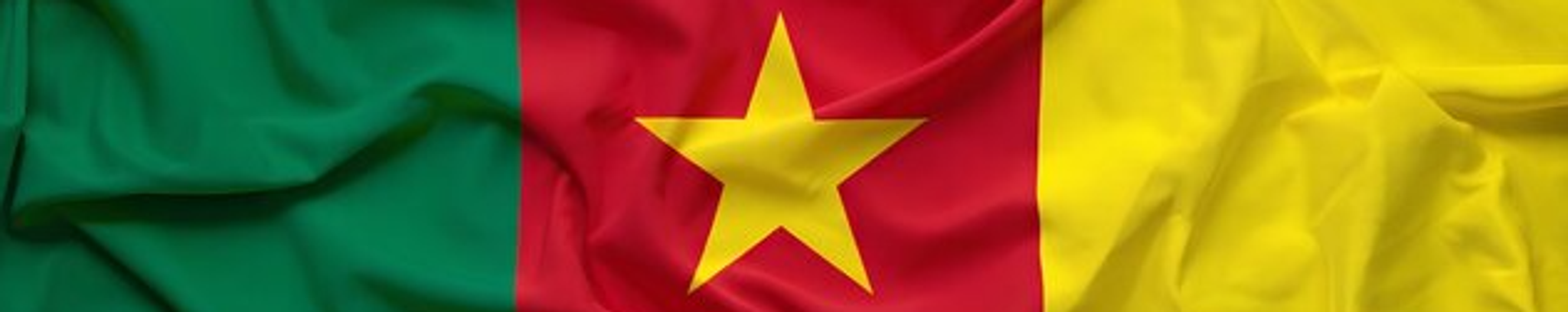 Cover for Michael Tamunang Fon's Obituary