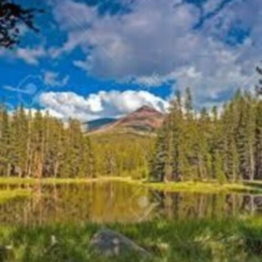 Perina Louise Felmlee