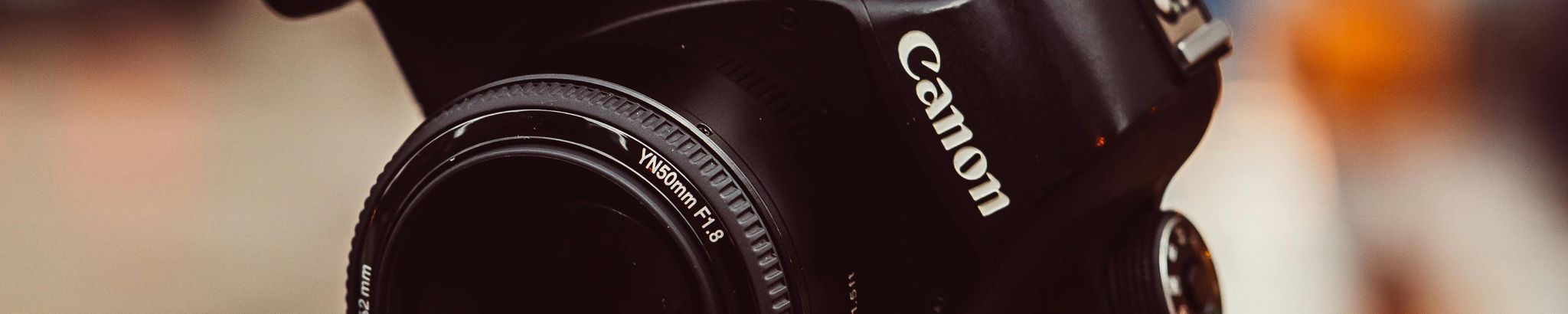 Cover for Michele Terlizzi's Obituary