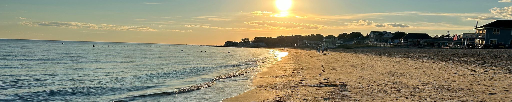 Cover for June Tolomea's Obituary