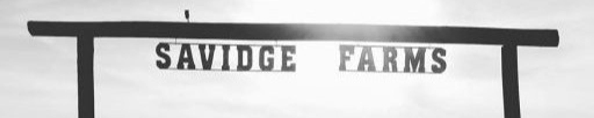 Cover photo for William H. Fegely's Obituary