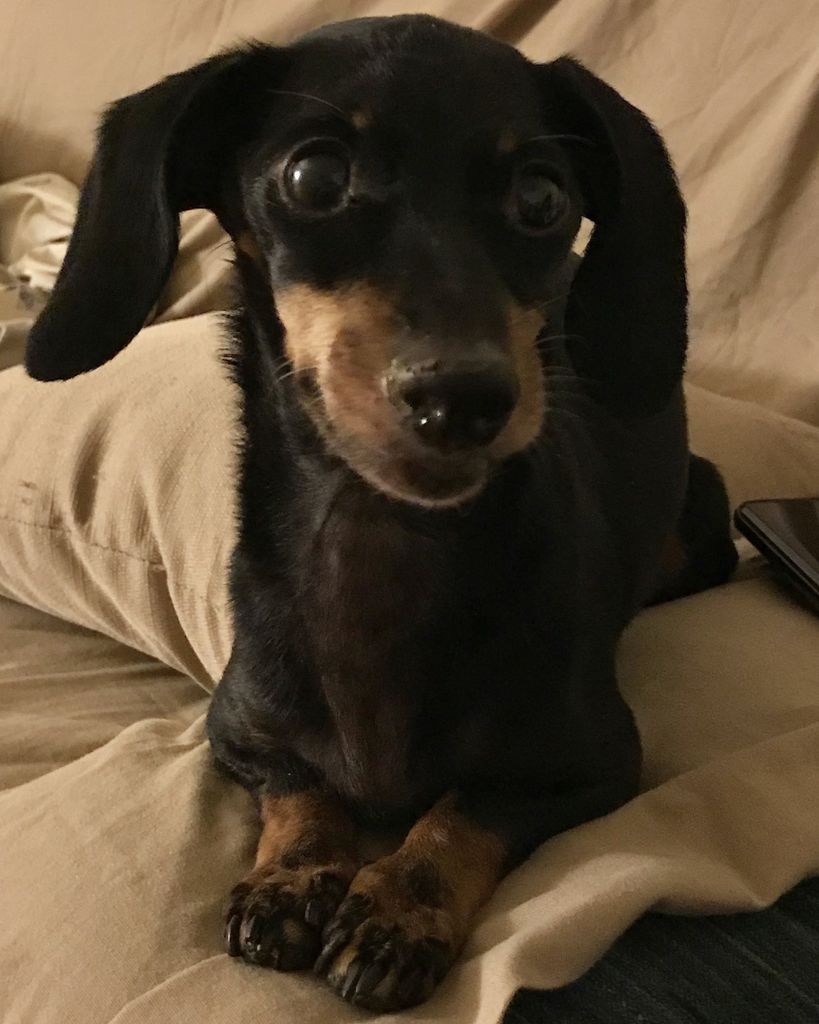 Dottie Stanley Profile Photo